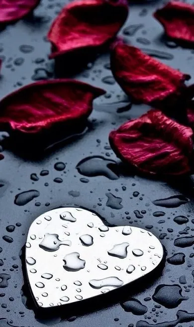 Heart Wallpapers | Indus Appstore | Screenshot