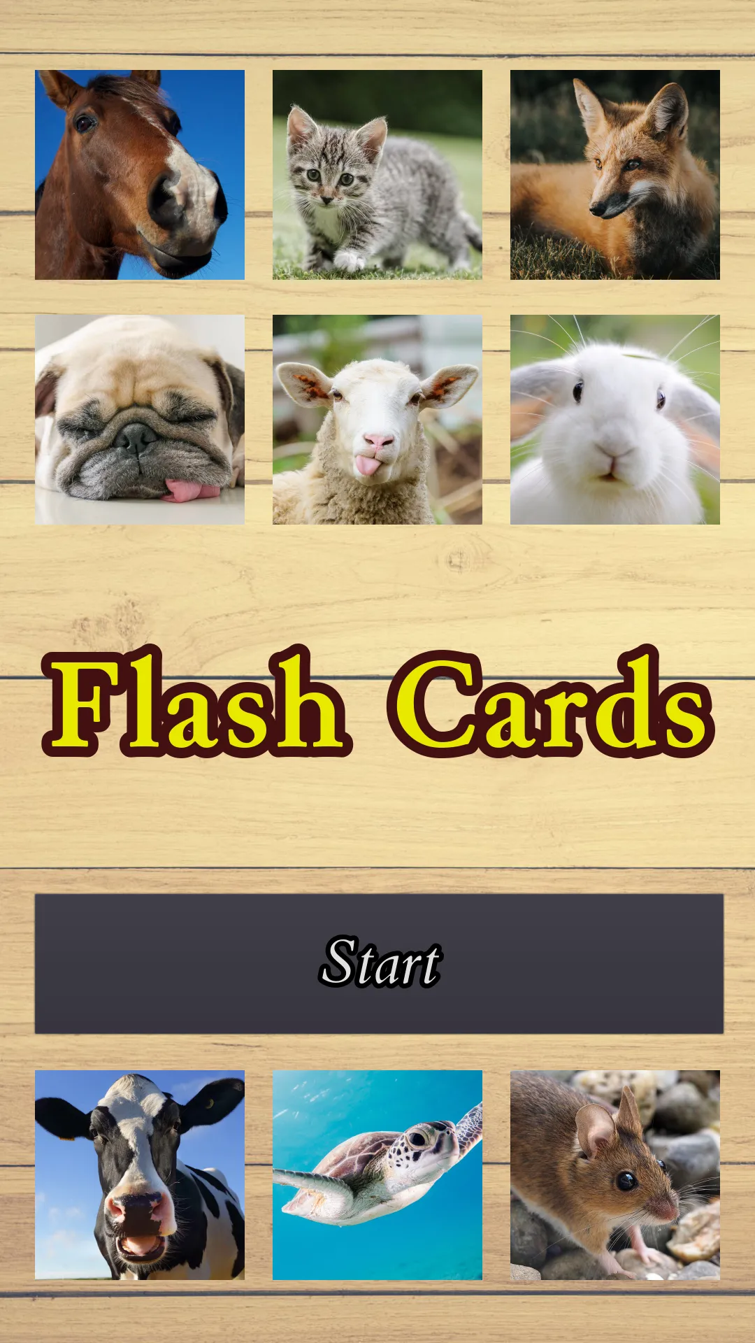 Flash Cards | Indus Appstore | Screenshot