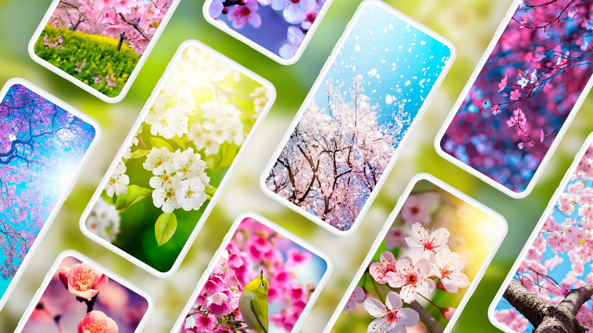 Spring Wallpapers 4K | Indus Appstore | Screenshot