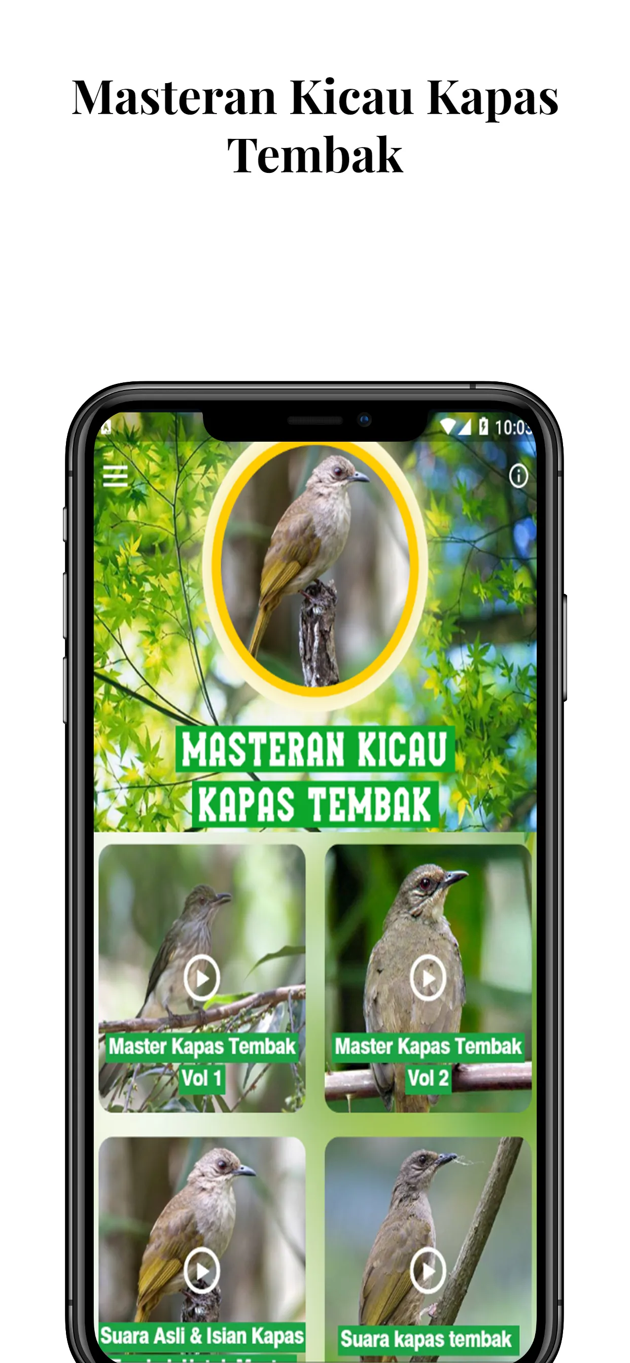 Masteran Kicau Kapas Tembak | Indus Appstore | Screenshot