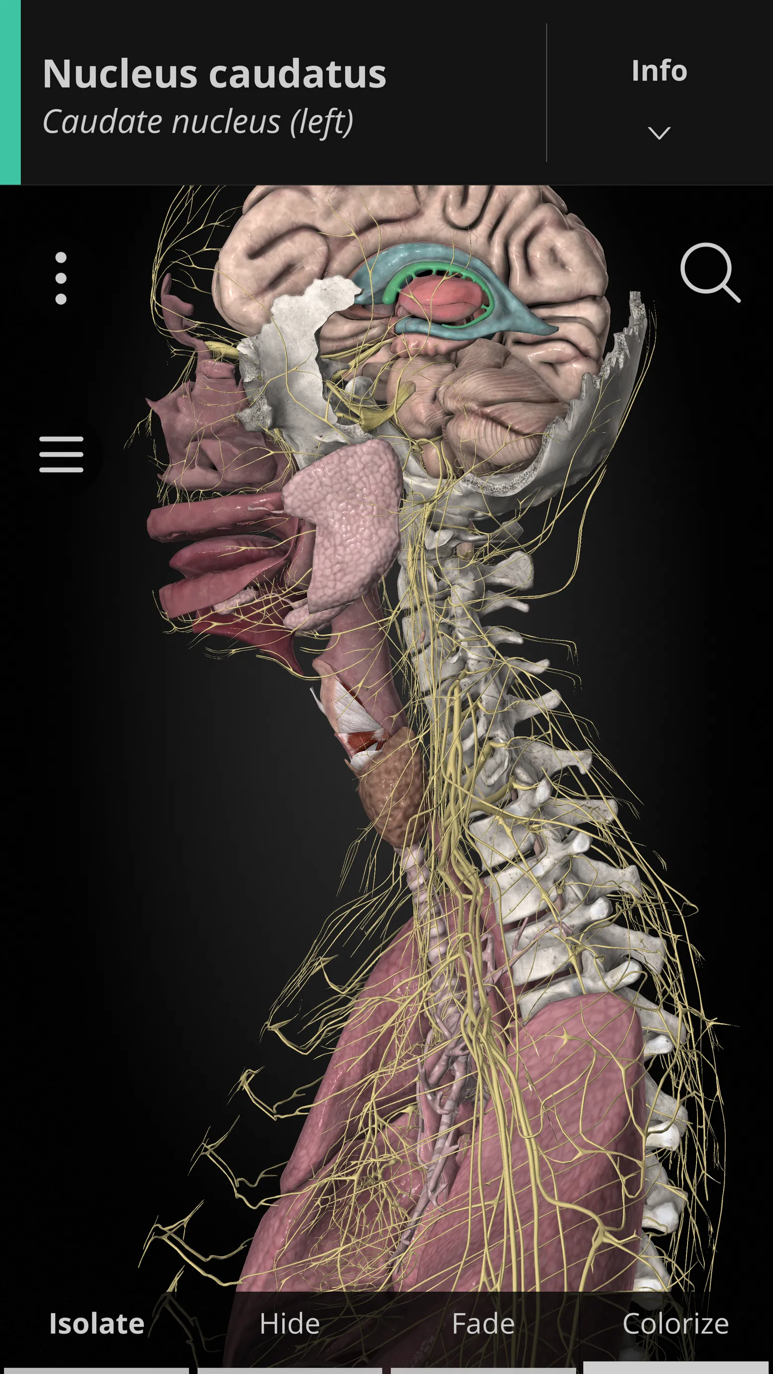 Anatomyka - 3D Anatomy Atlas | Indus Appstore | Screenshot