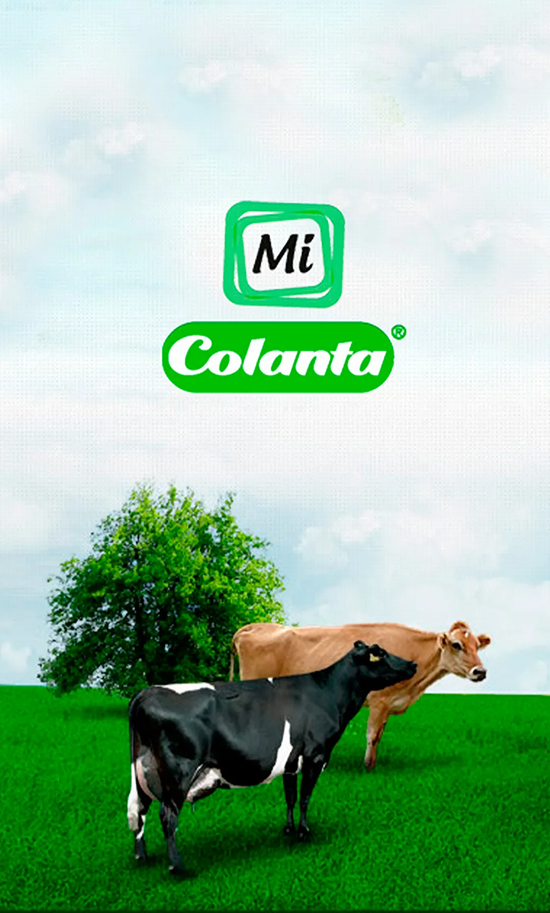 Mi COLANTA | Indus Appstore | Screenshot