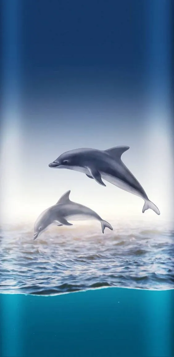 Dolphin Wallpapers | Indus Appstore | Screenshot