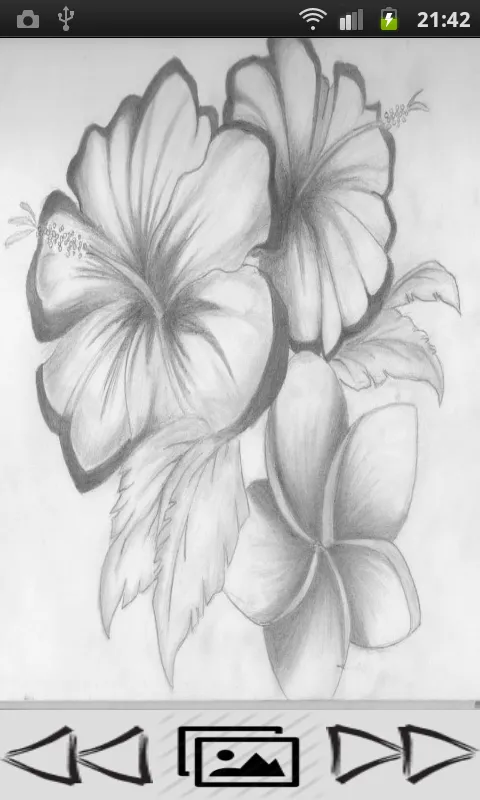 Charcoal Drawing | Indus Appstore | Screenshot