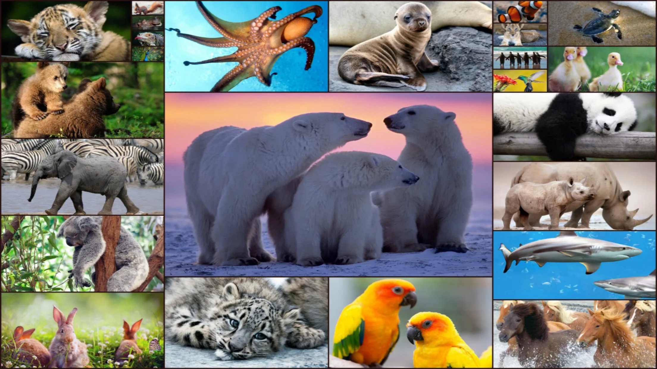 Animal Jigsaw Puzzle Game Kids | Indus Appstore | Screenshot