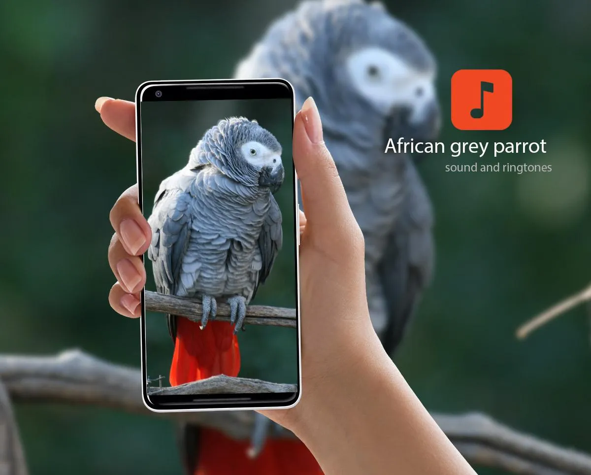 African grey parrot Sounds | Indus Appstore | Screenshot