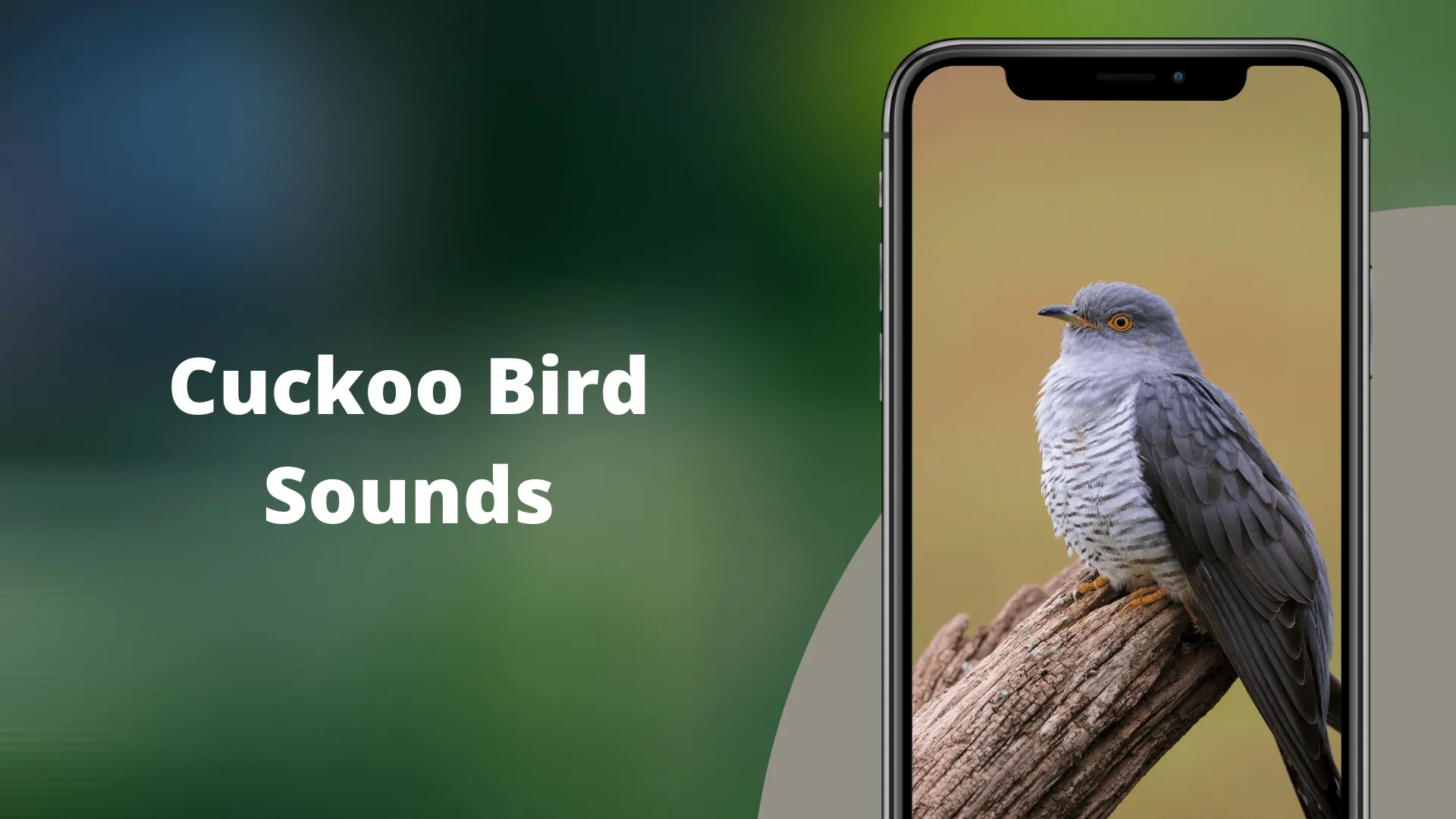 Cuckoo Bird Sounds | Indus Appstore | Screenshot