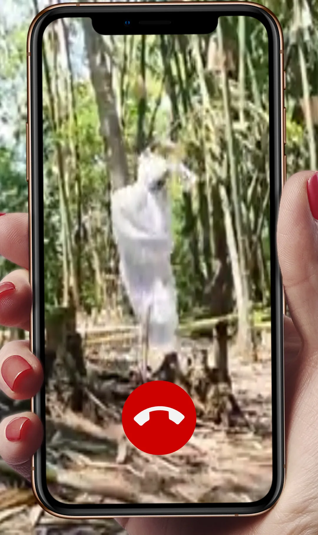 Call Pocong Kuntilanak Lucu | Indus Appstore | Screenshot