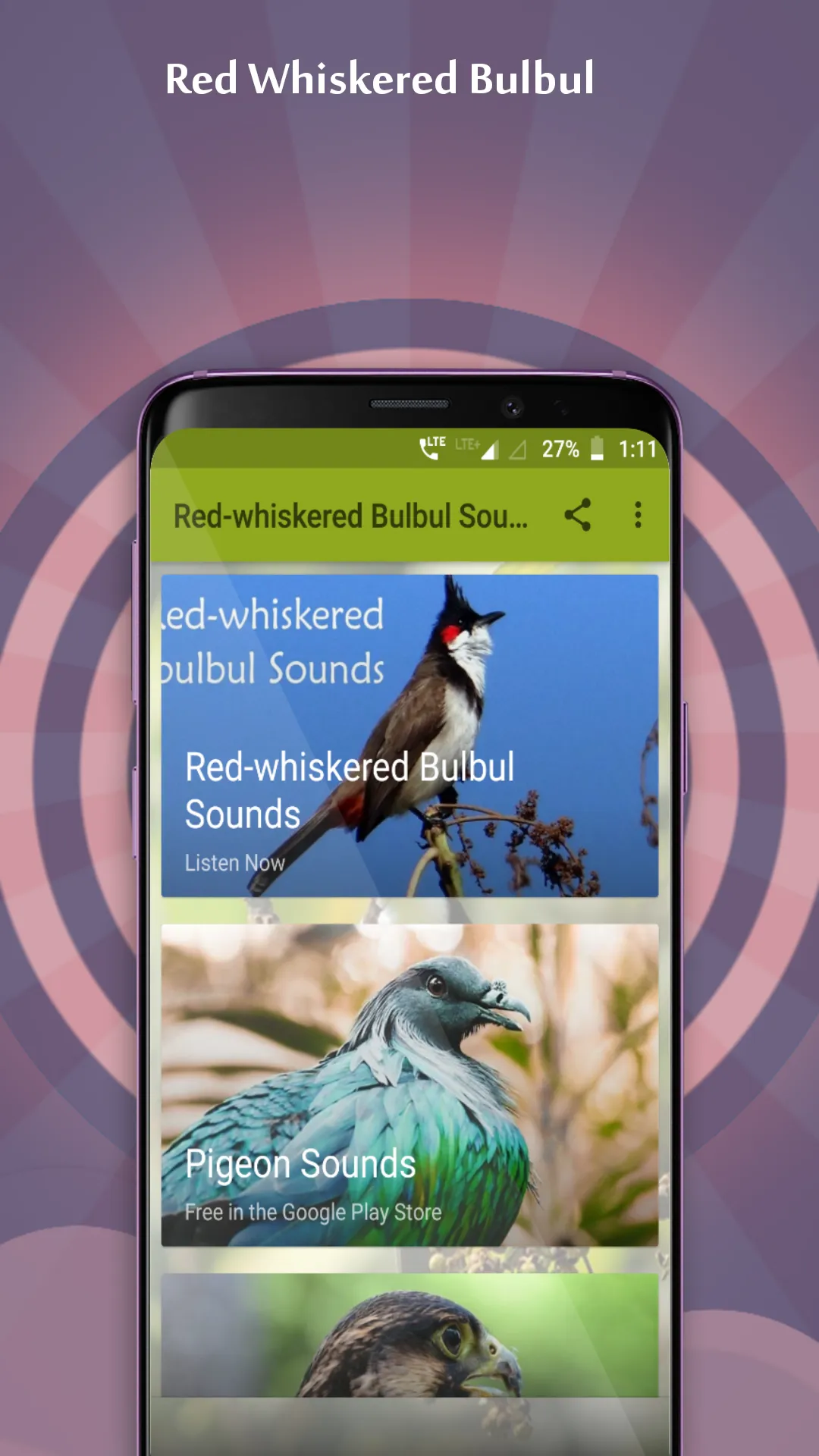 Red-whiskered Bulbul Sounds | Indus Appstore | Screenshot