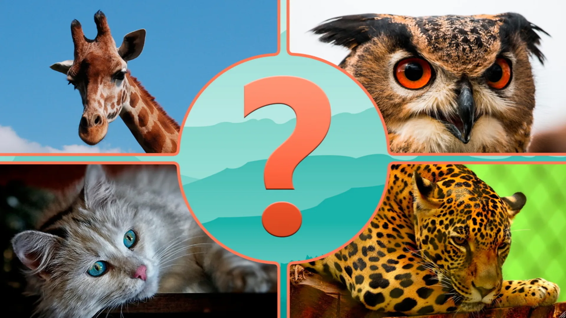 Guess the Animal | Indus Appstore | Screenshot