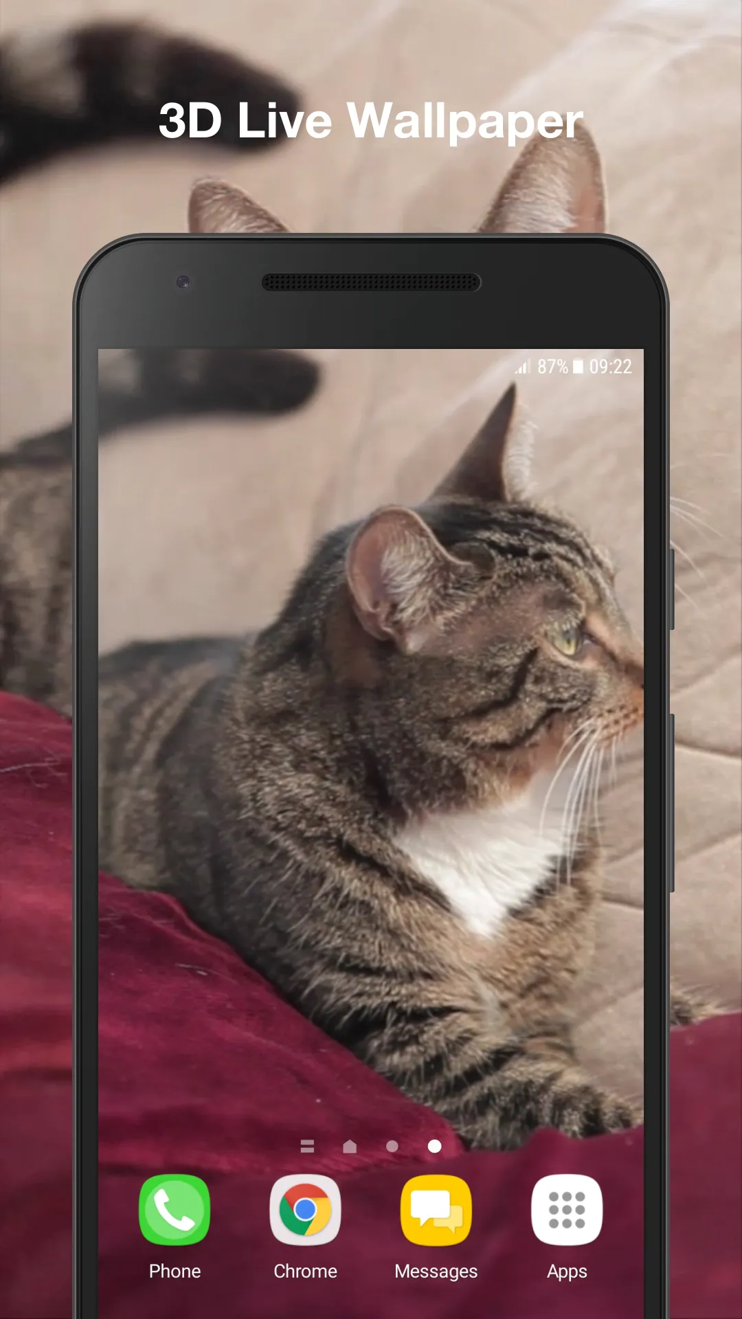 Cute Cat Live Wallpaper | Indus Appstore | Screenshot