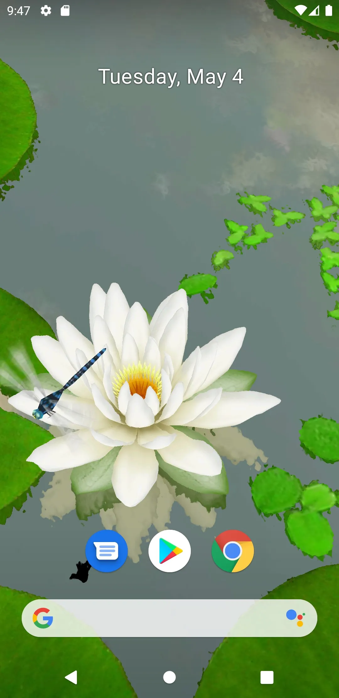 3D Lotus Pond Live Wallpaper | Indus Appstore | Screenshot