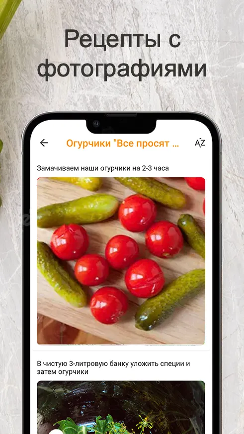 Заготовки на зиму | Indus Appstore | Screenshot