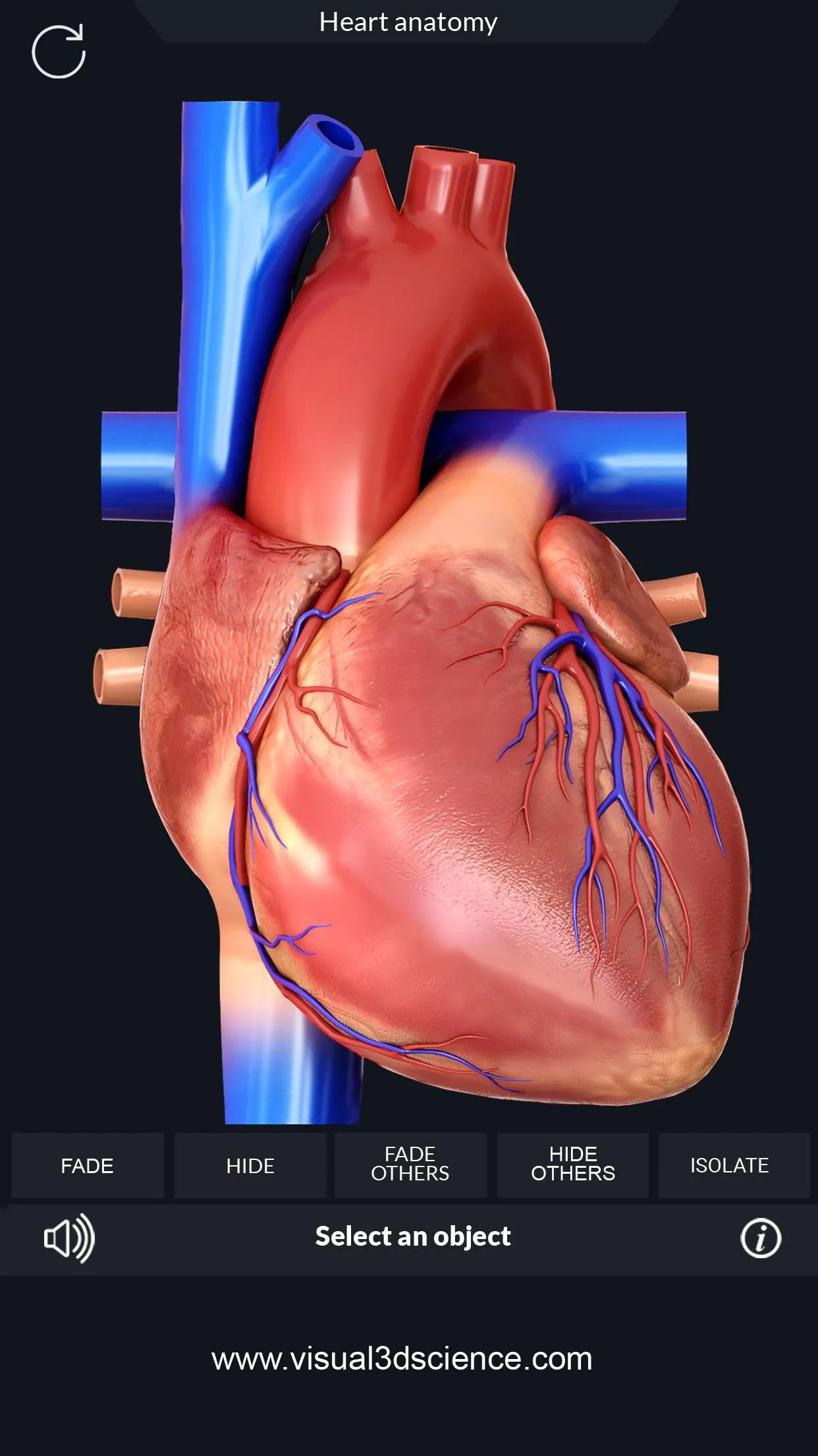 Heart Anatomy Pro. | Indus Appstore | Screenshot