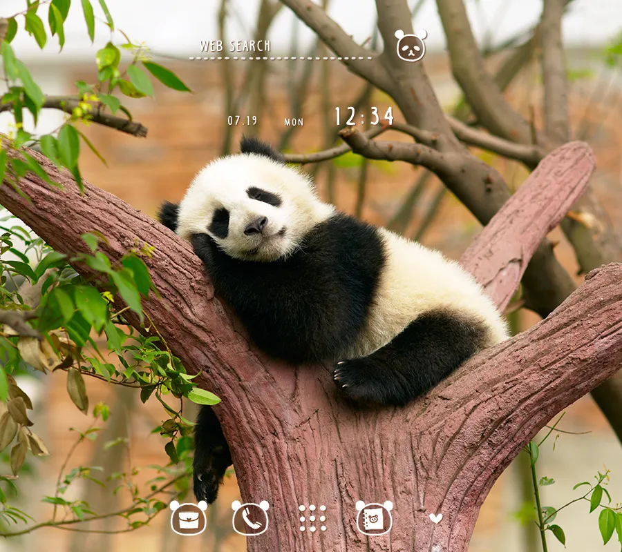 Napping Panda Theme | Indus Appstore | Screenshot