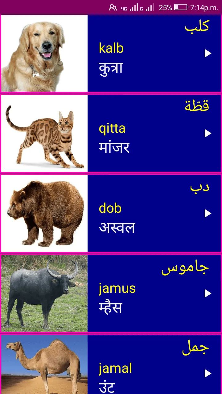 Learn Arabic From Marathi | Indus Appstore | Screenshot