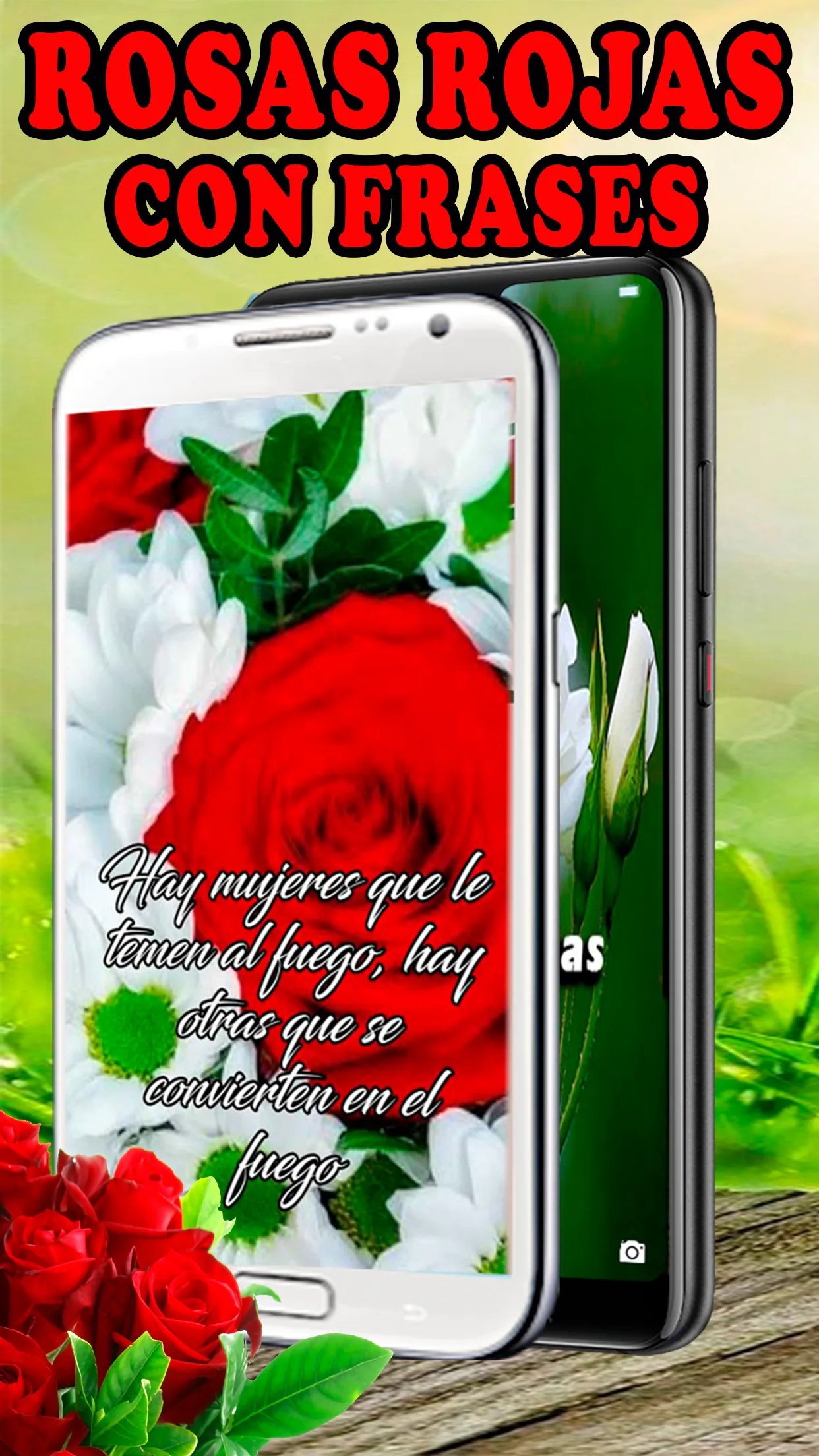 Rosas Rojas Hermosas Flores | Indus Appstore | Screenshot