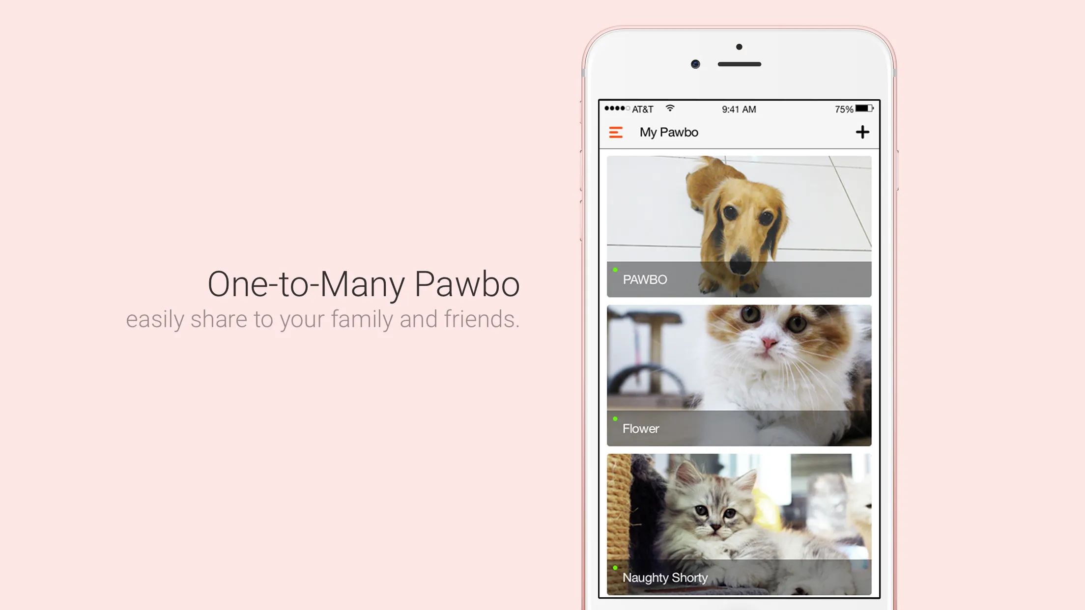 Pawbo Life | Indus Appstore | Screenshot