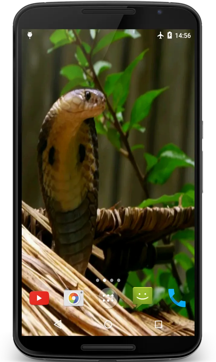 Cobra Video Live Wallpaper | Indus Appstore | Screenshot