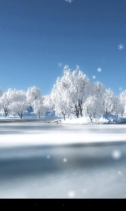 Snow Season Live Wallpaper | Indus Appstore | Screenshot