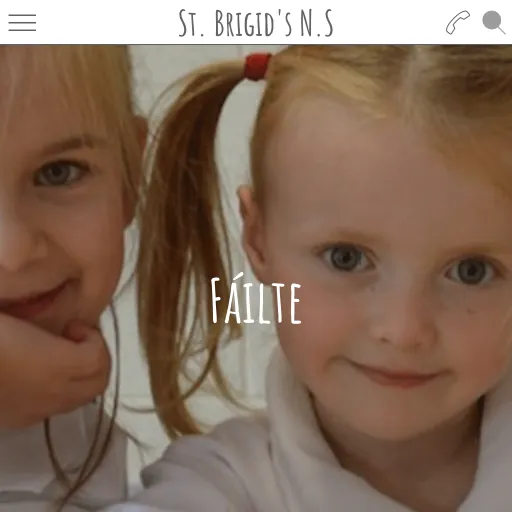 Saint Brigid's National School | Indus Appstore | Screenshot