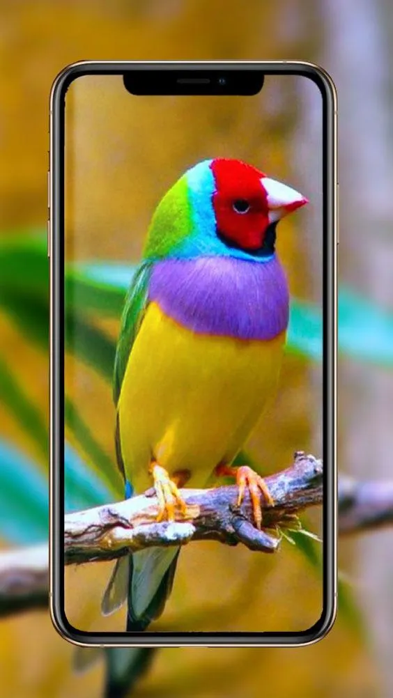 Birds Wallpaper | Indus Appstore | Screenshot