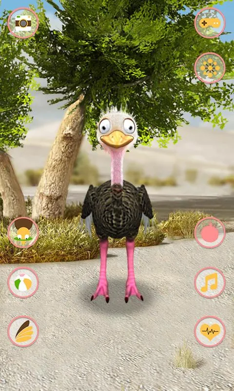 Talking Ostrich | Indus Appstore | Screenshot