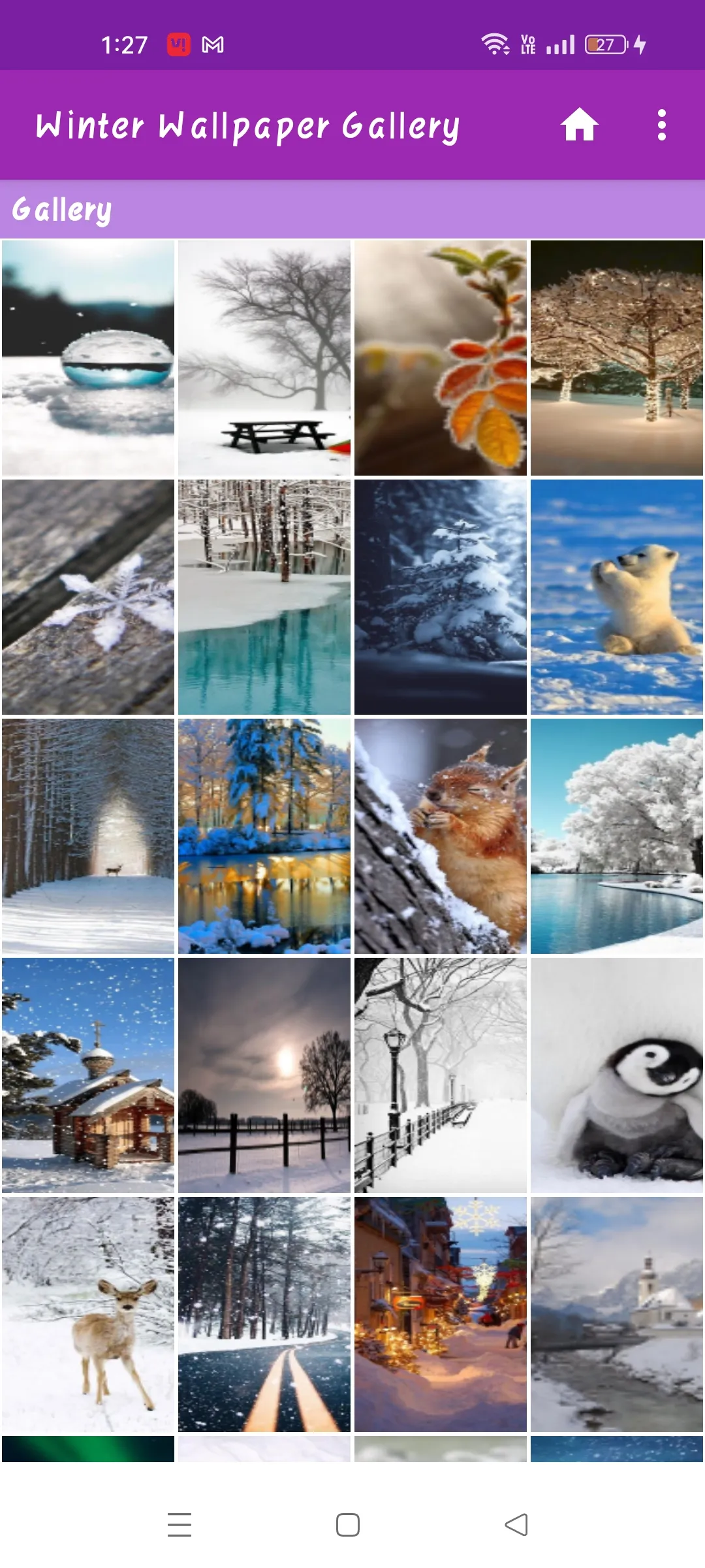 Winter Wallpaper Gallery | Indus Appstore | Screenshot