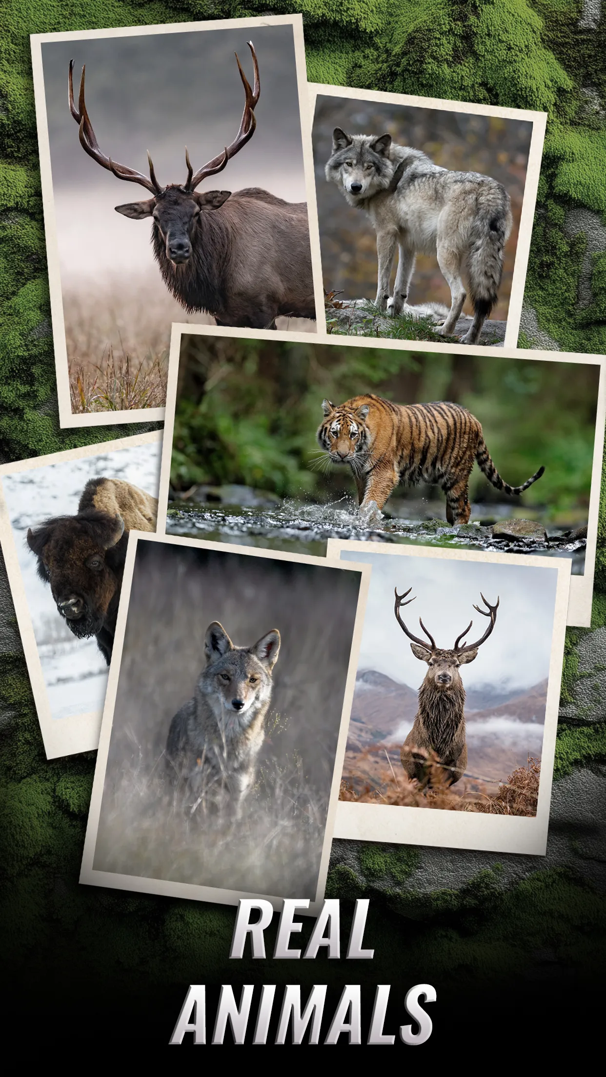 Trophy Hunter – Hunting Game | Indus Appstore | Screenshot