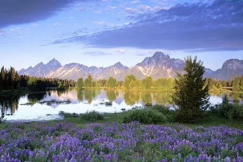 Landscape Jigsaw puzzles 4In 1 | Indus Appstore | Screenshot