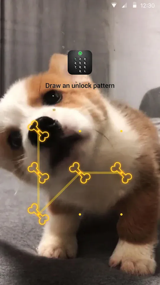 AppLock Live Theme - Corgi | Indus Appstore | Screenshot