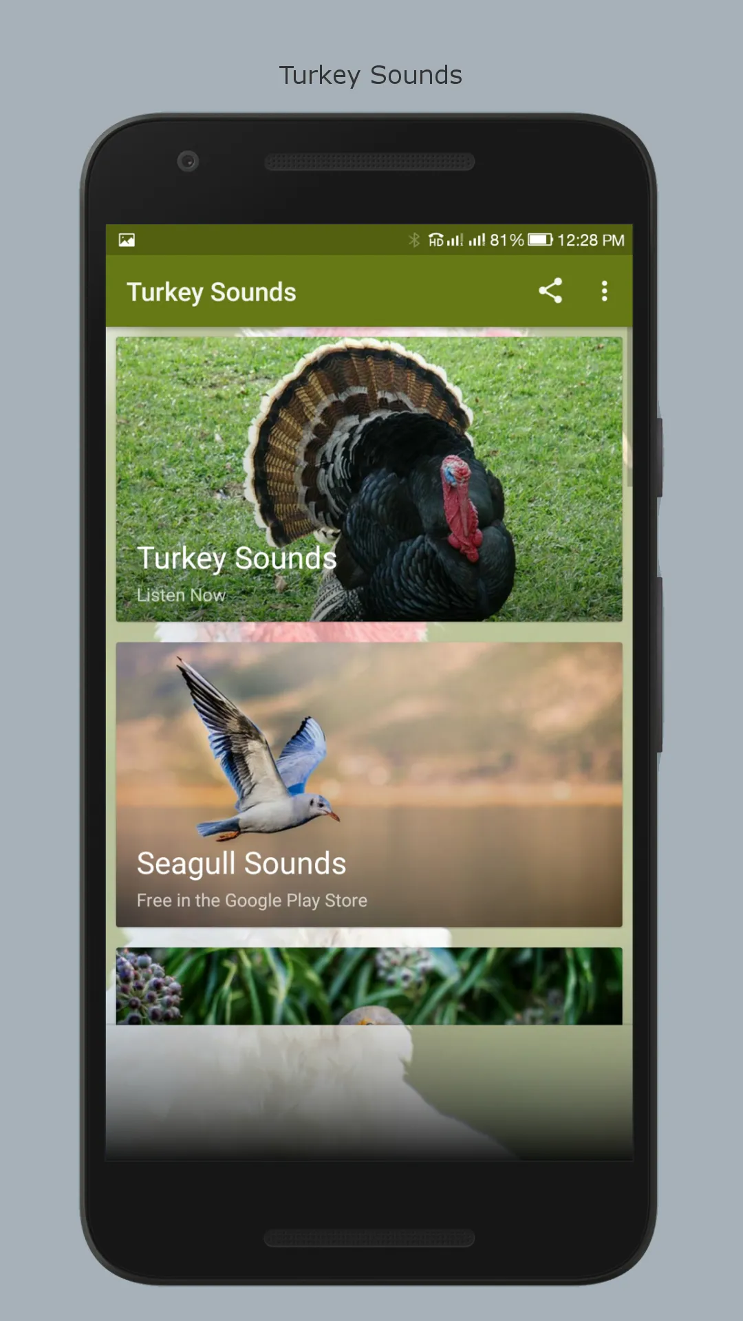 Turkey Sounds | Indus Appstore | Screenshot