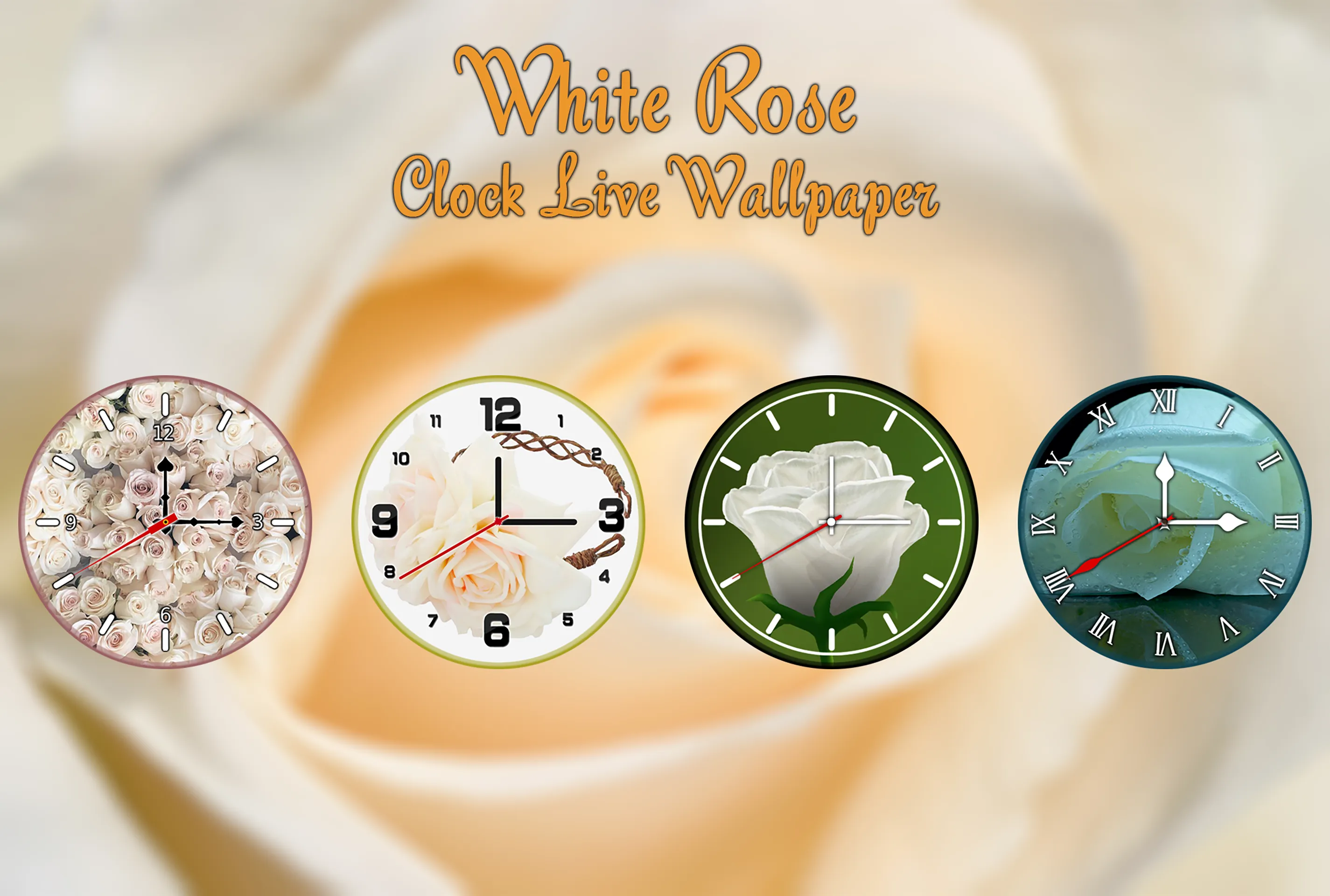 White Rose Clock Wallpaper | Indus Appstore | Screenshot