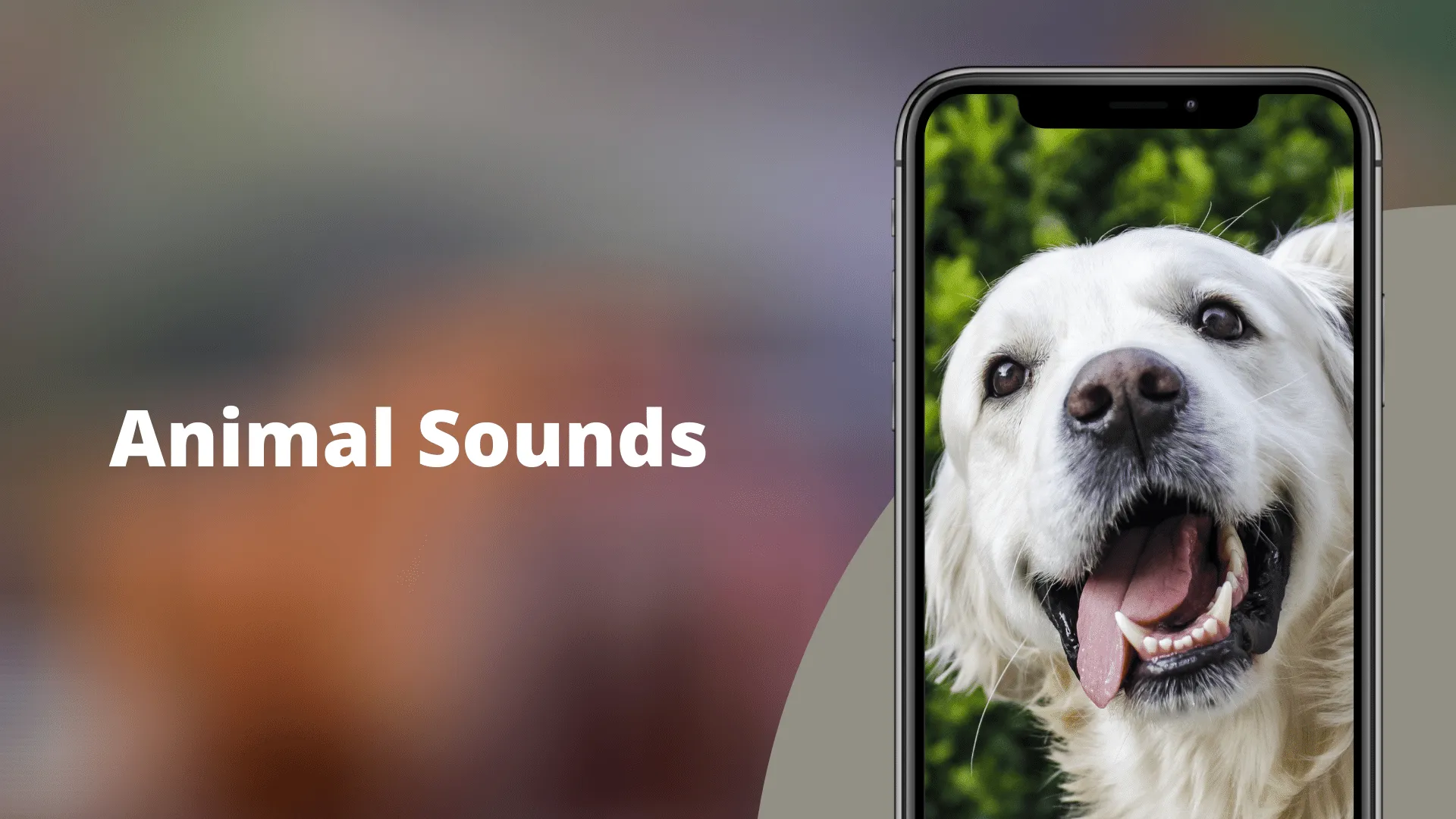 Animal Sounds | Indus Appstore | Screenshot