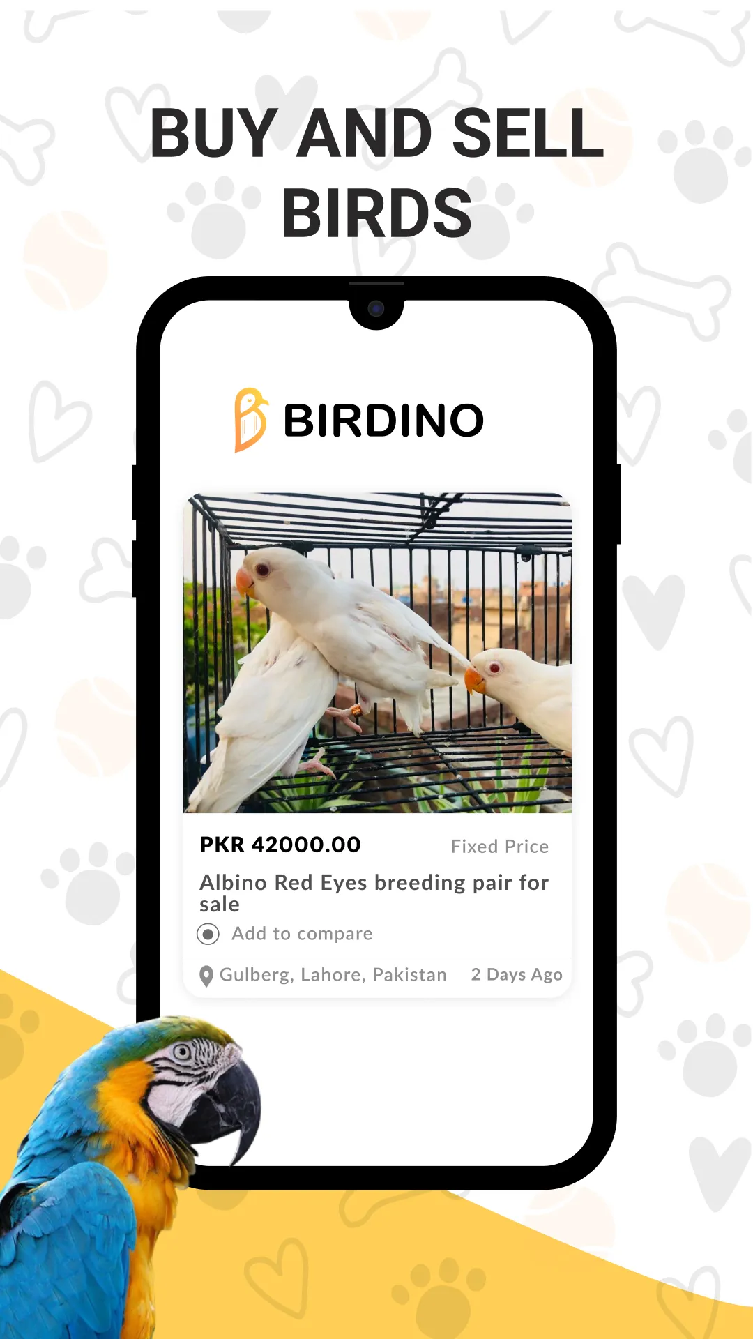 Birdino | Indus Appstore | Screenshot