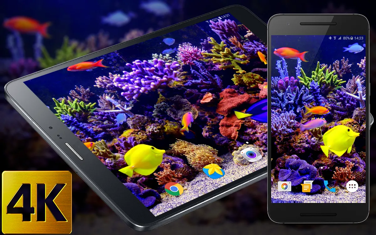 Aquarium Video Live Wallpaper | Indus Appstore | Screenshot