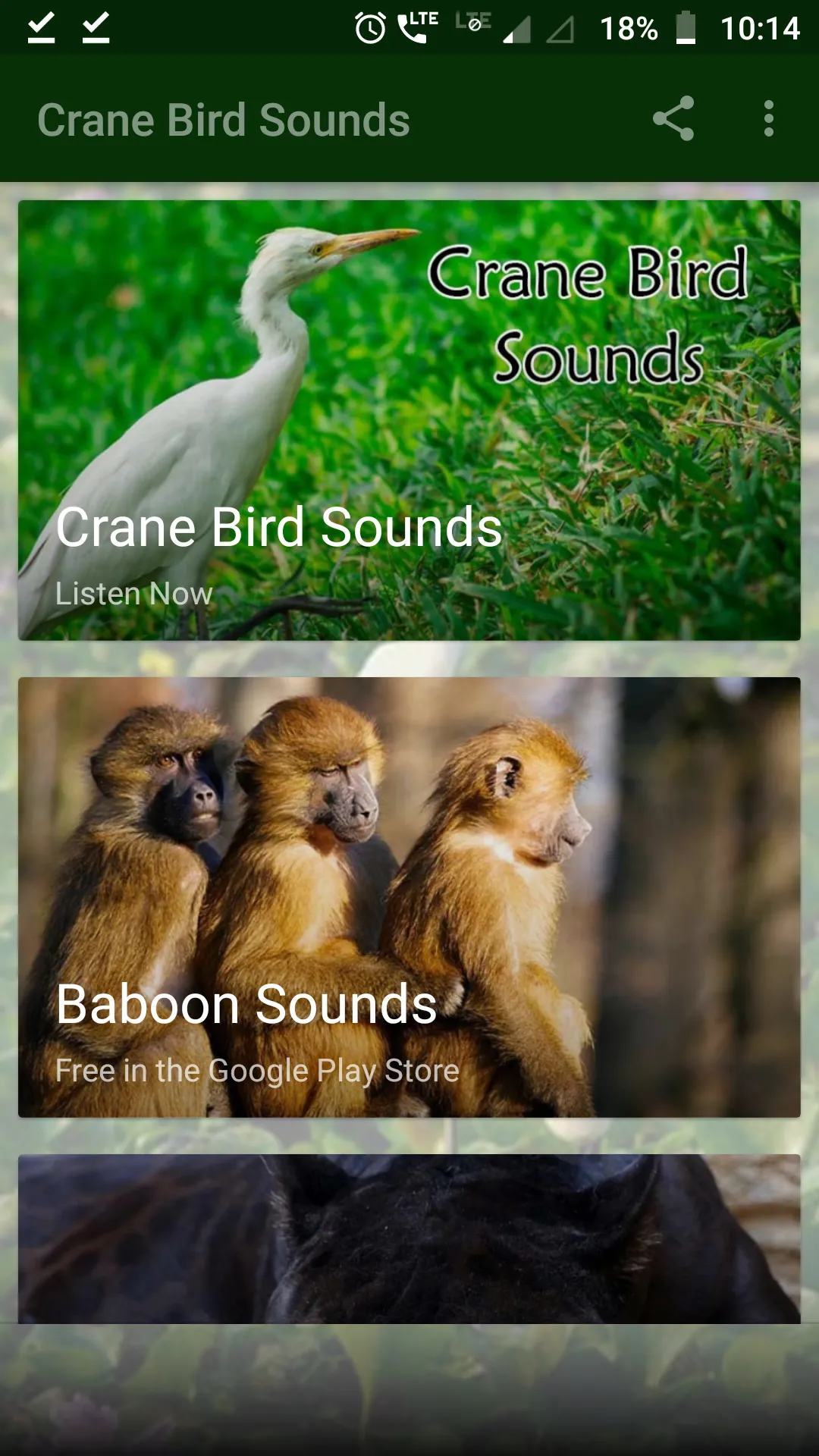 Crane Bird Sounds | Indus Appstore | Screenshot