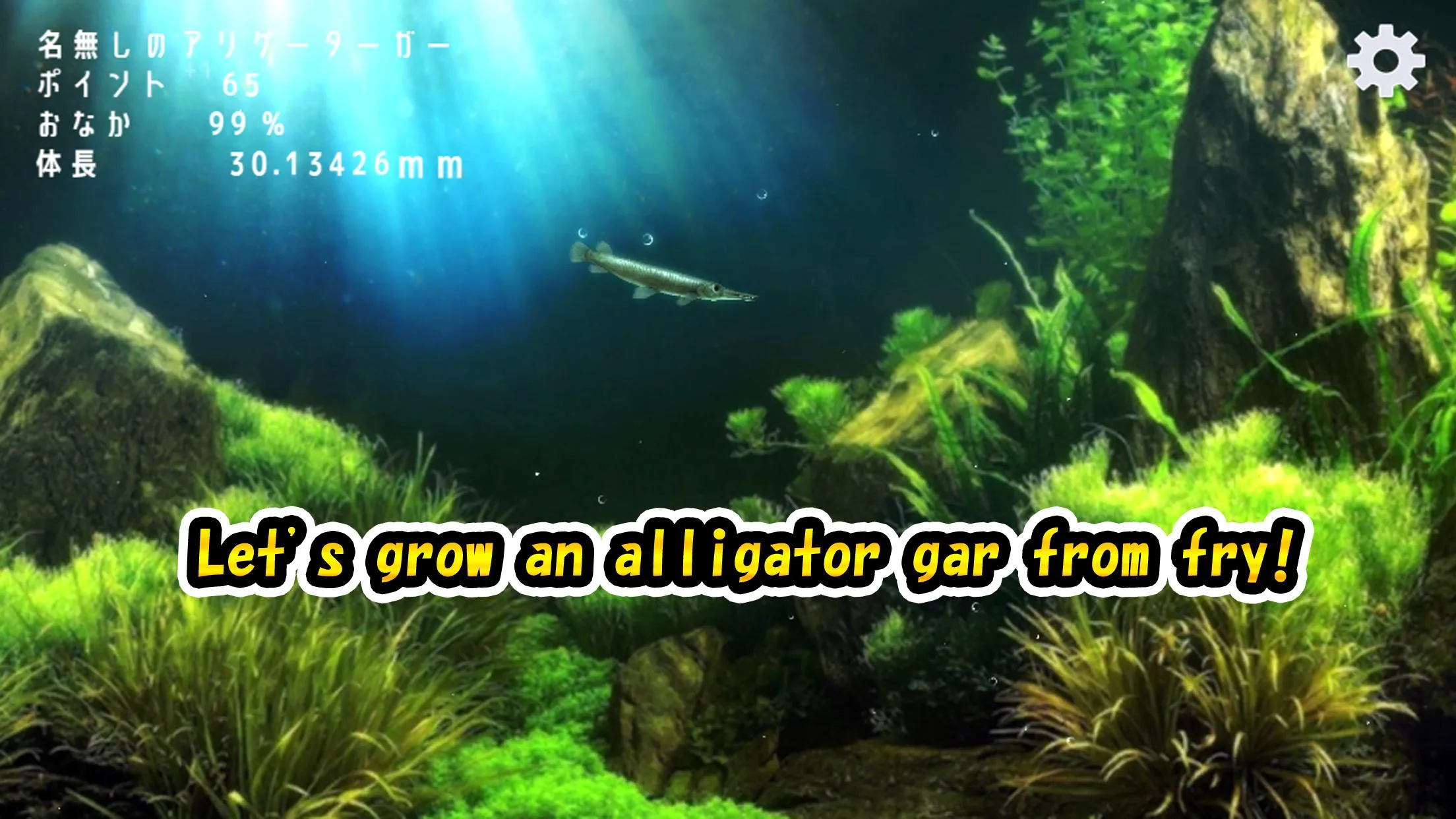 Alligator Gar raising from fry | Indus Appstore | Screenshot