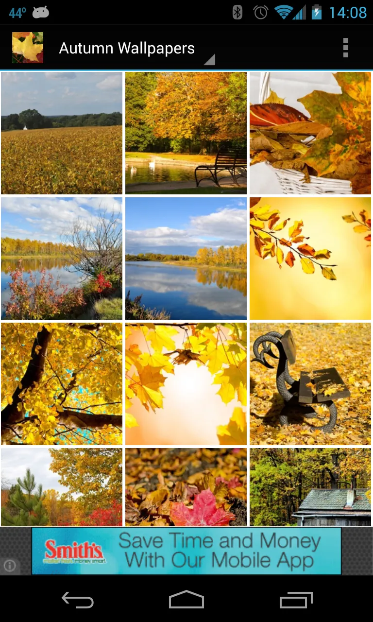 Autumn Wallpapers | Indus Appstore | Screenshot