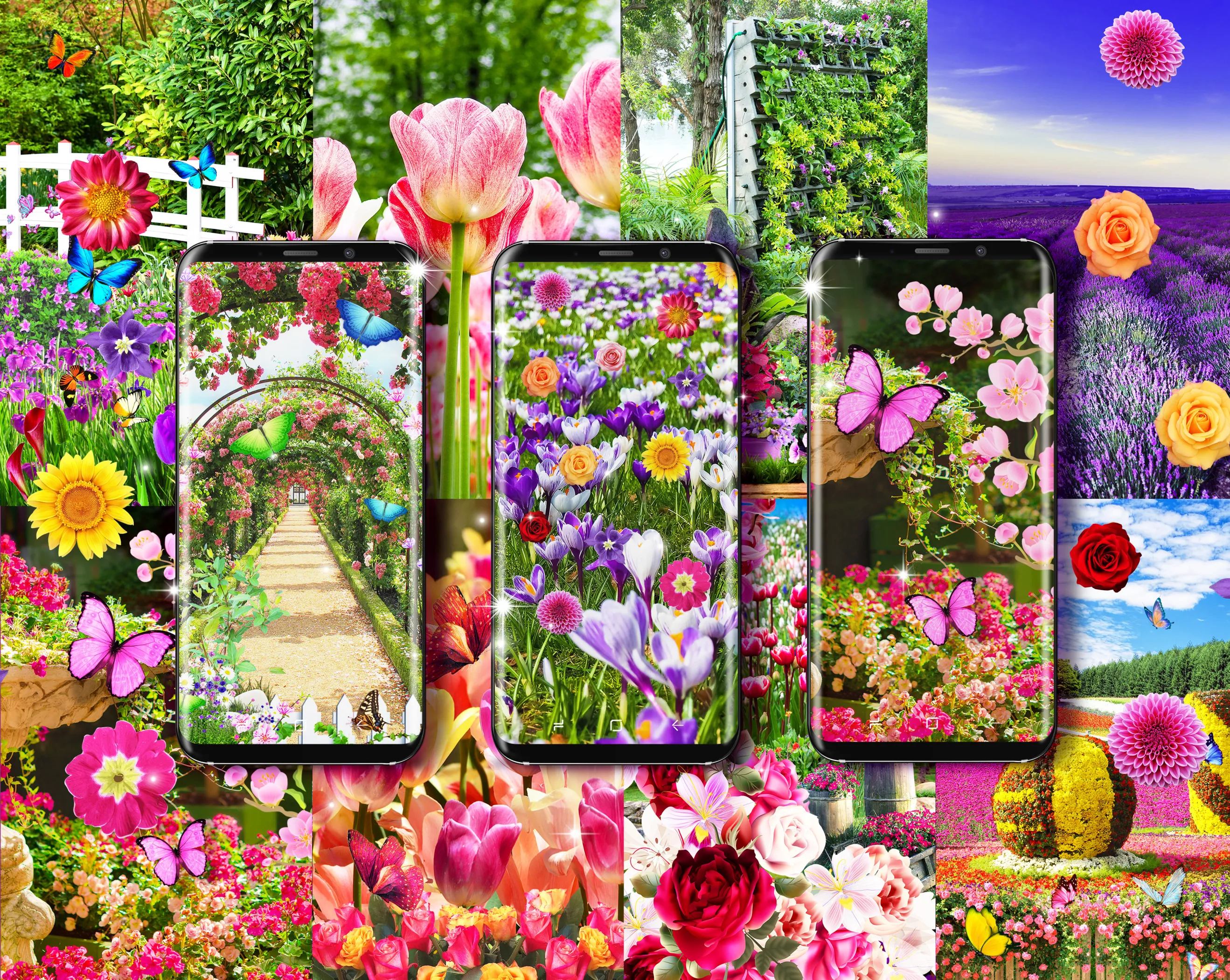 Flower garden live wallpaper | Indus Appstore | Screenshot