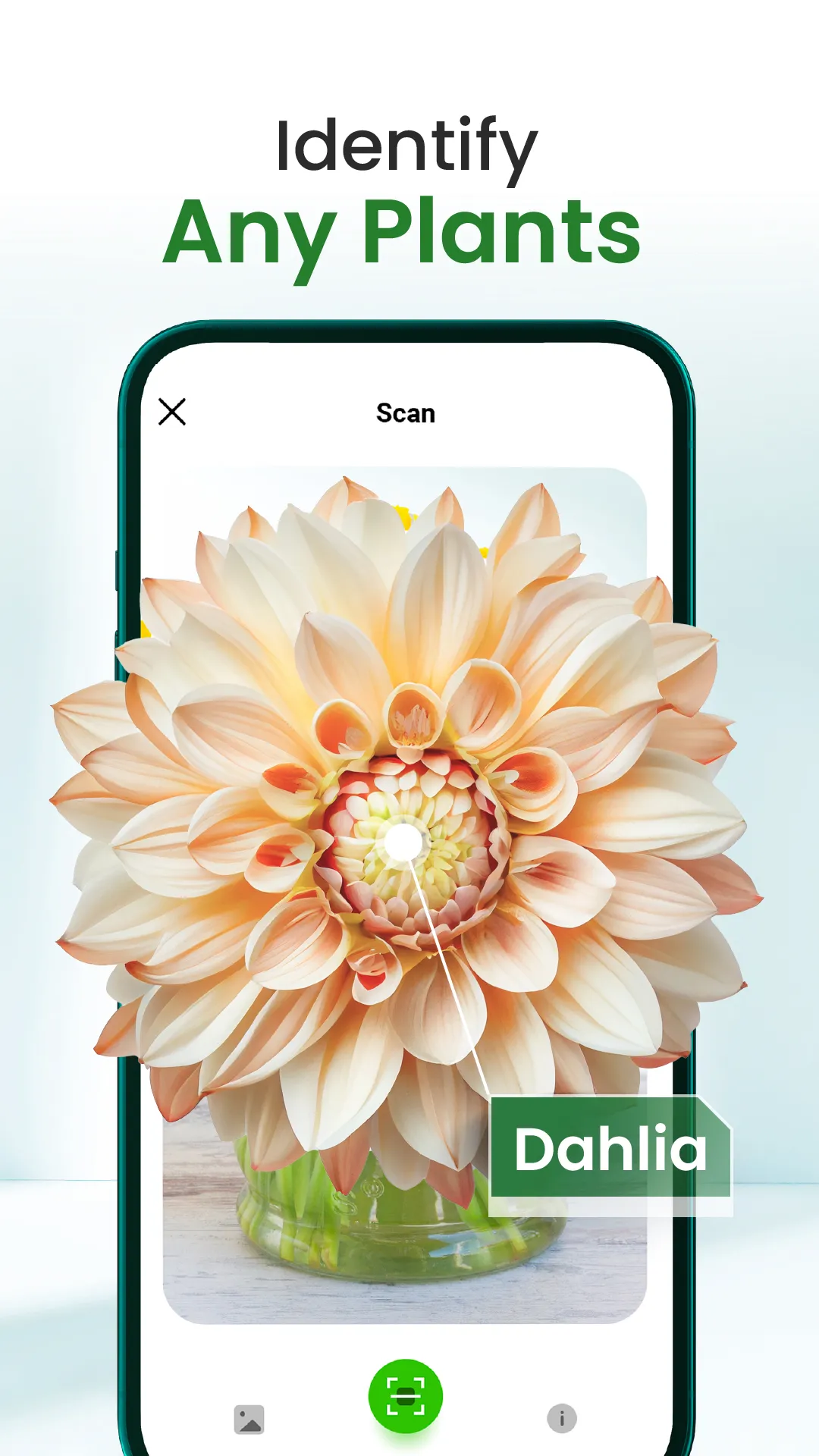 Florify: AI Plant Identifier | Indus Appstore | Screenshot