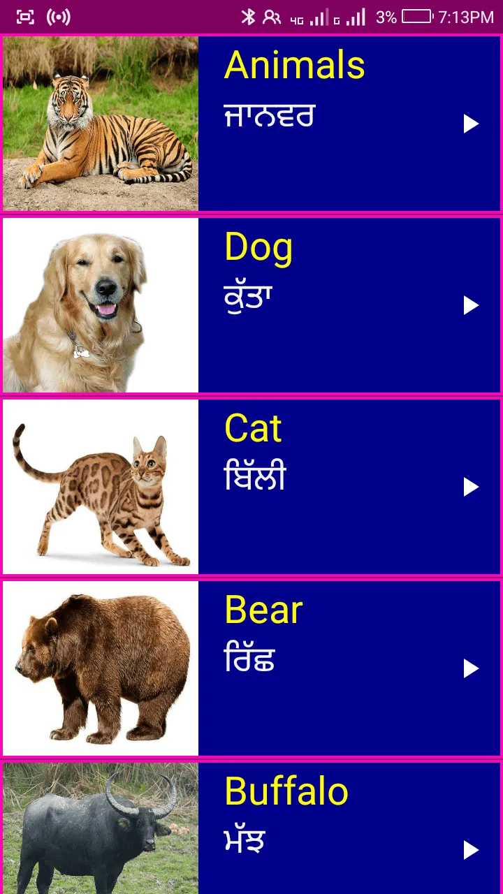 Learn English From Punjabi | Indus Appstore | Screenshot