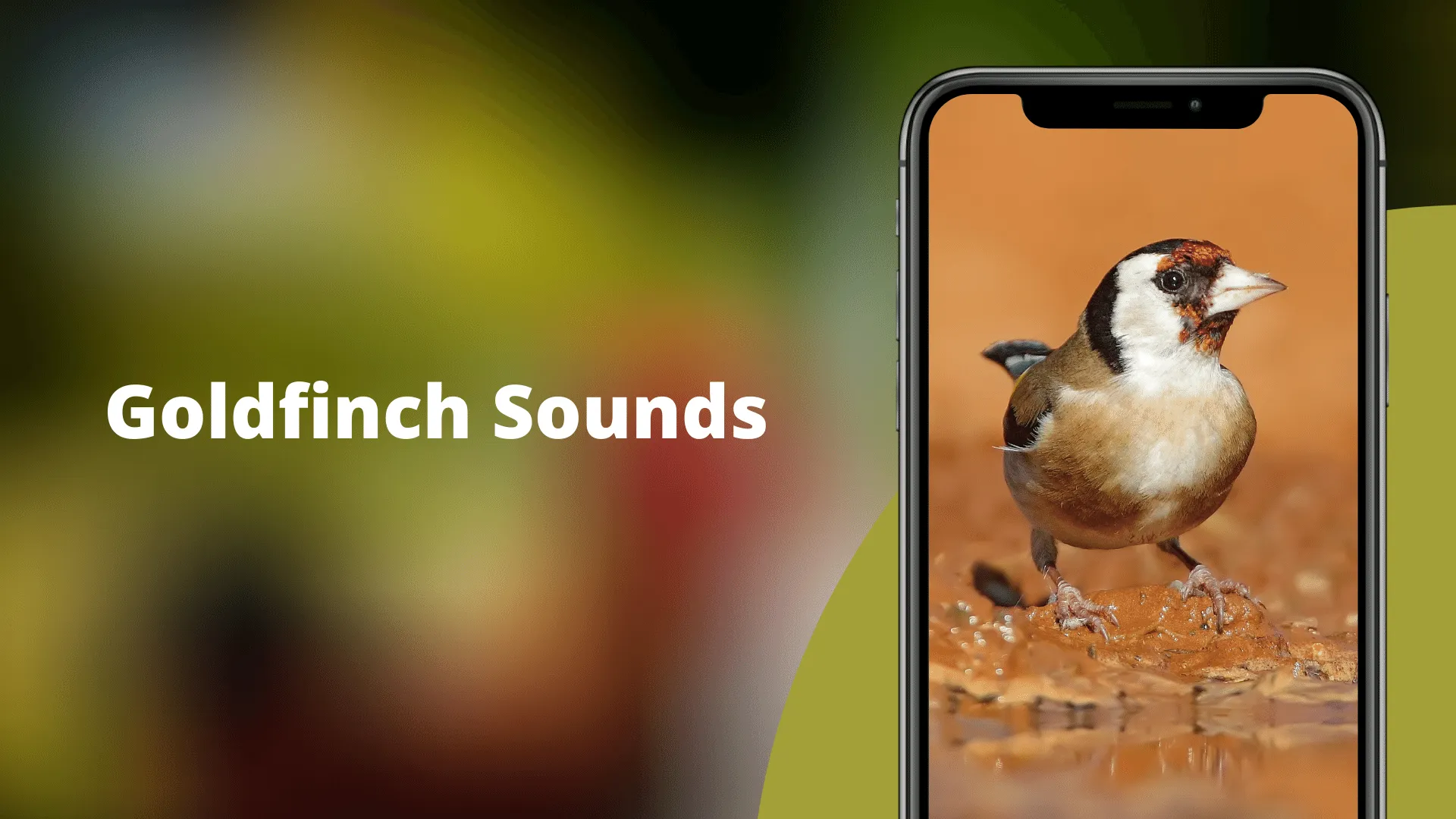 Goldfinch Sounds | Indus Appstore | Screenshot