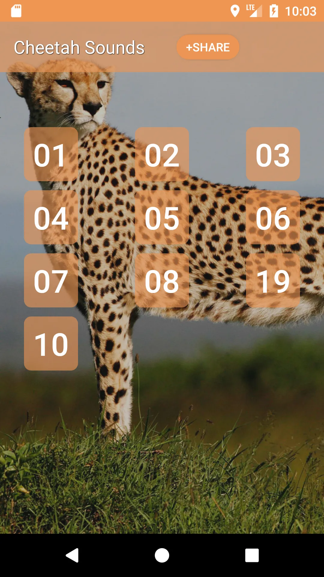 Cheetah Sounds | Indus Appstore | Screenshot