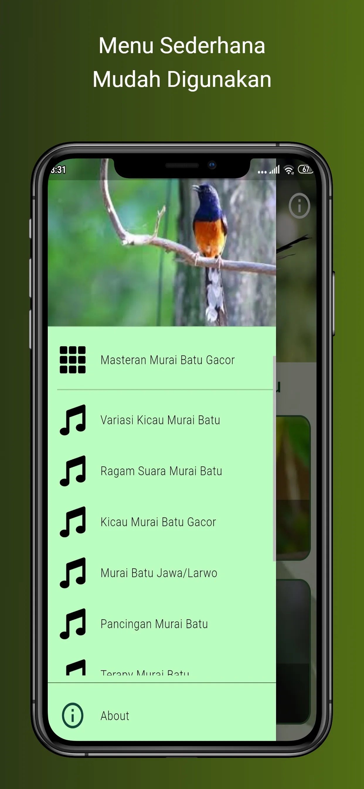 Masteran Murai Batu Gacor | Indus Appstore | Screenshot