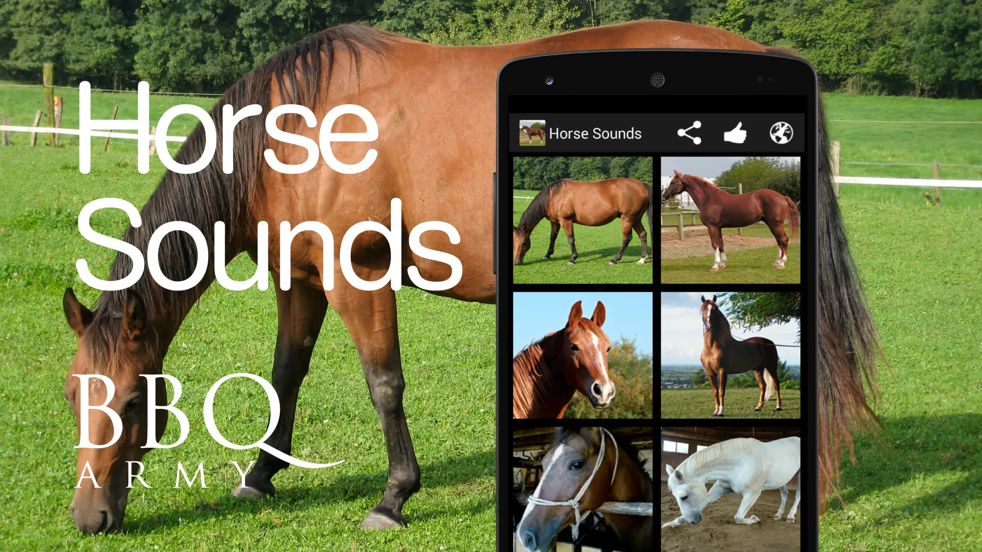 Horse Sounds | Indus Appstore | Screenshot