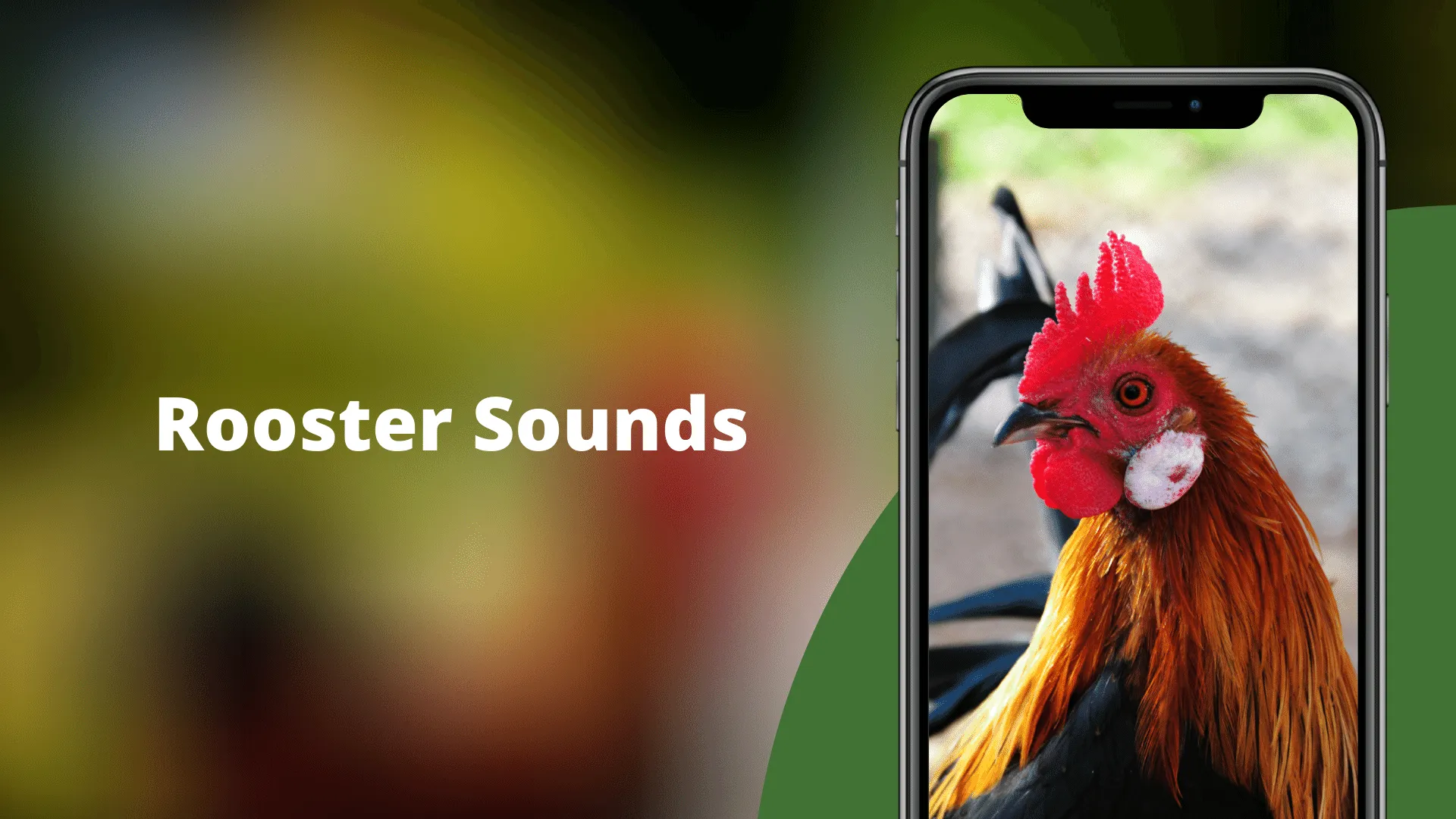 Rooster Sounds - Morning Alarm | Indus Appstore | Screenshot