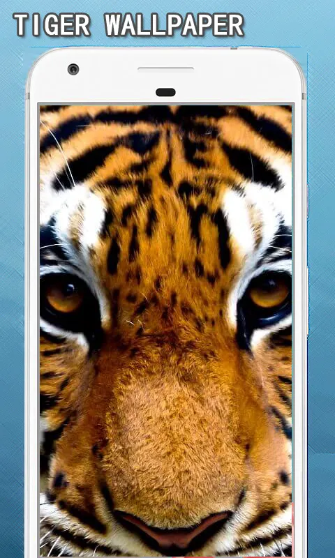 Tiger Wallpapers Hd | Indus Appstore | Screenshot