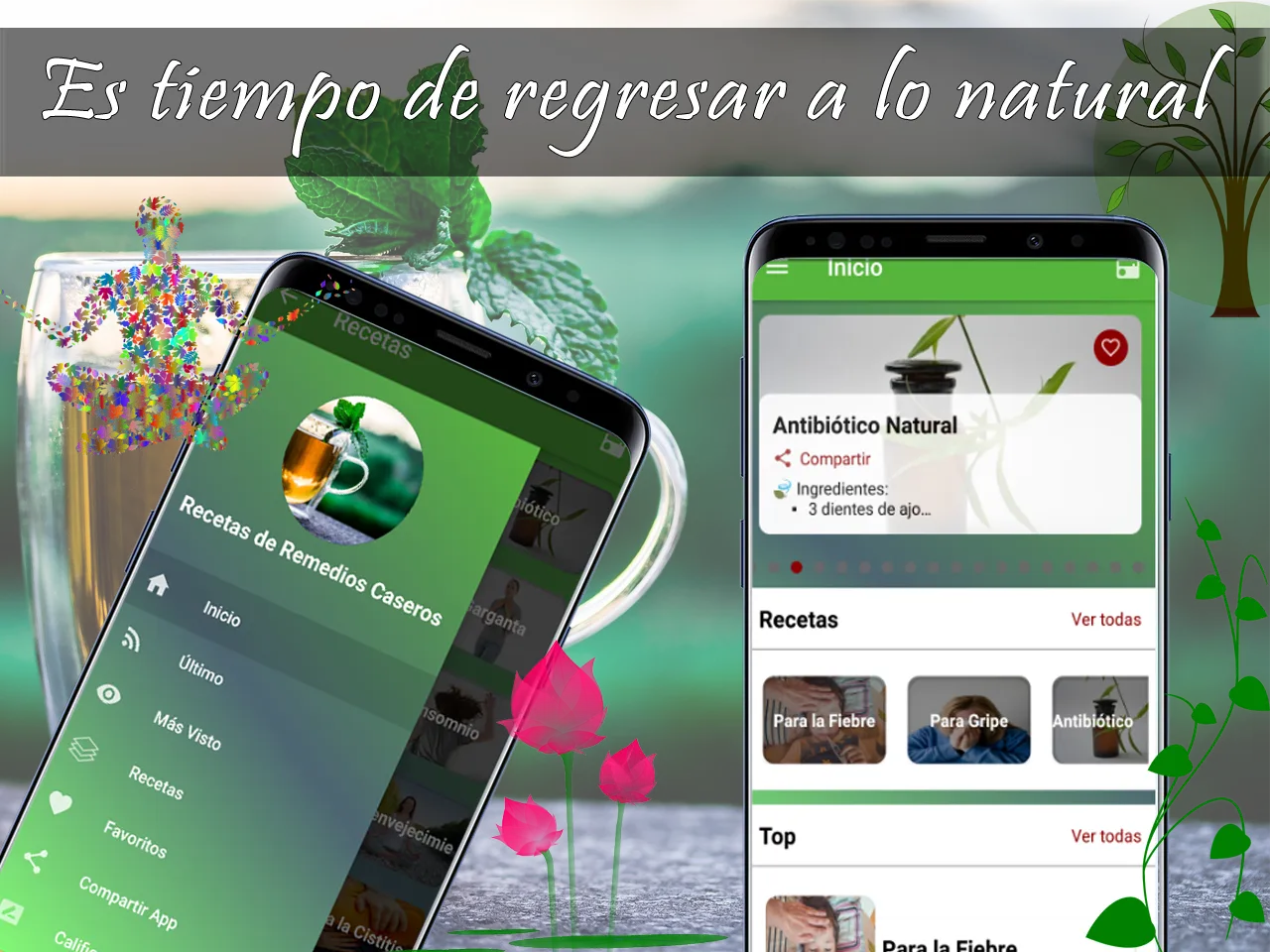 Recetas de Remedios Caseros | Indus Appstore | Screenshot