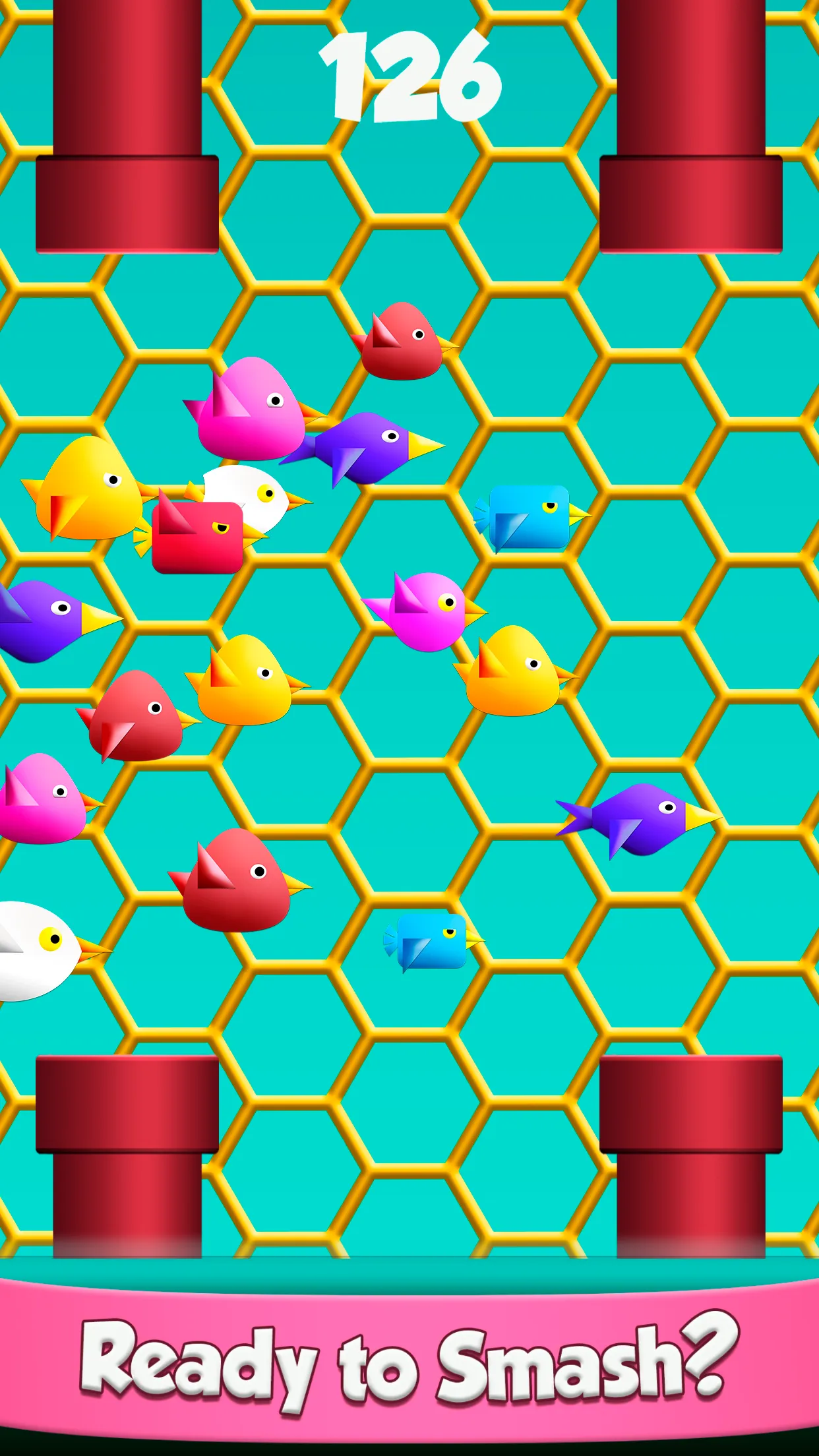 Cool Birds Fun Smash for Kids | Indus Appstore | Screenshot